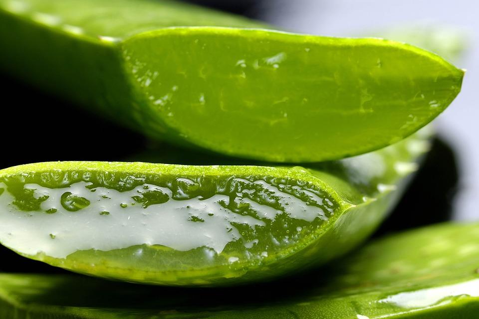 Beneficios Del Aloe Vera, El Aliado Natural Para El Cuidado De La Piel